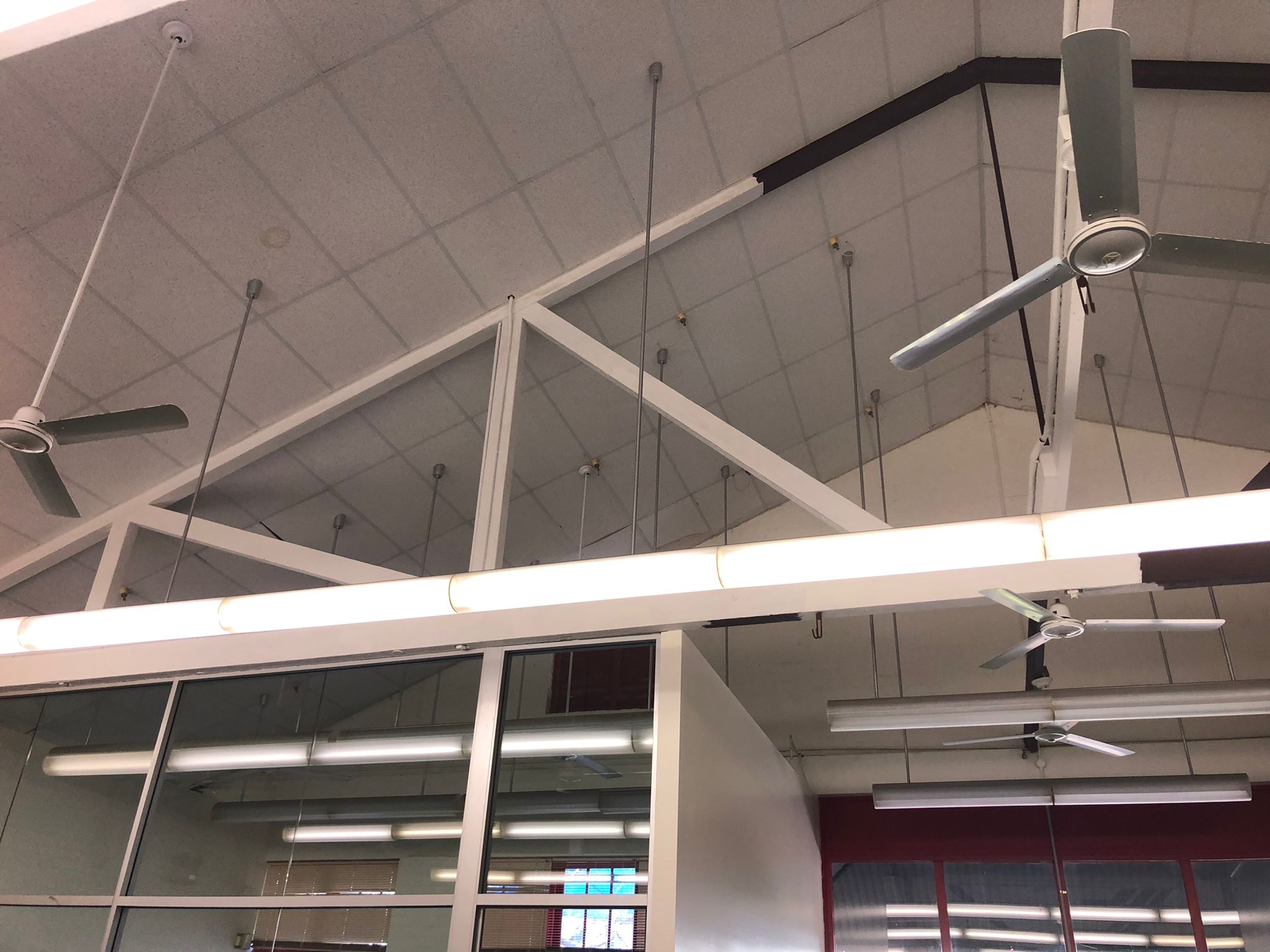 Plunkett St Public School - 1000021100.JPG